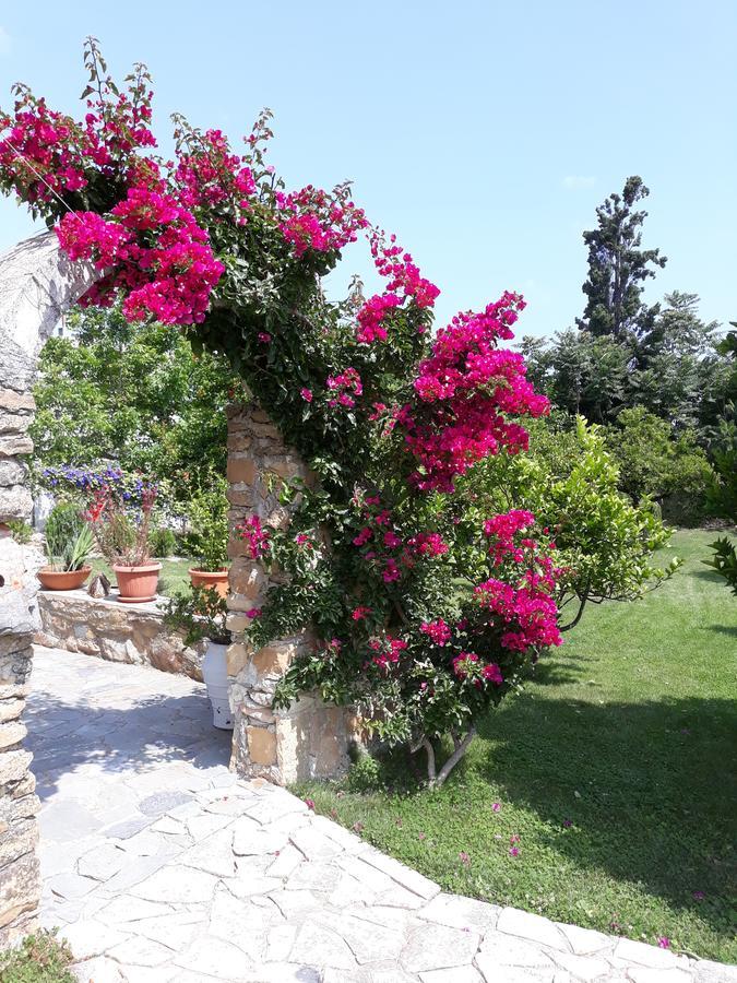 Garden Rooms Pirgos Psilonerou 外观 照片